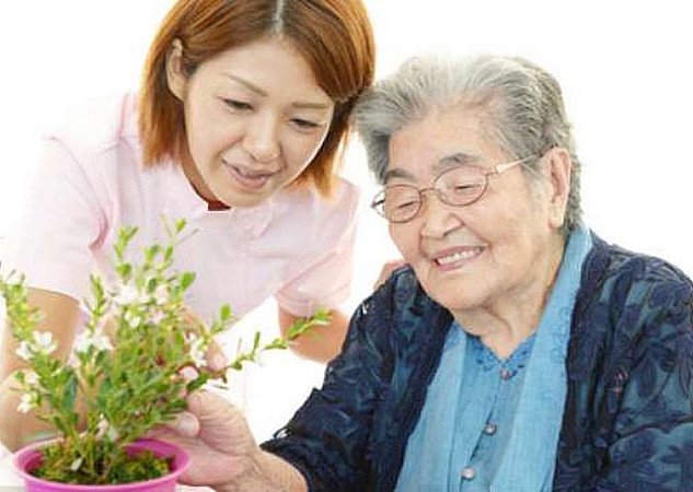 Senior berkebun bersama pendamping di dalam ruangan