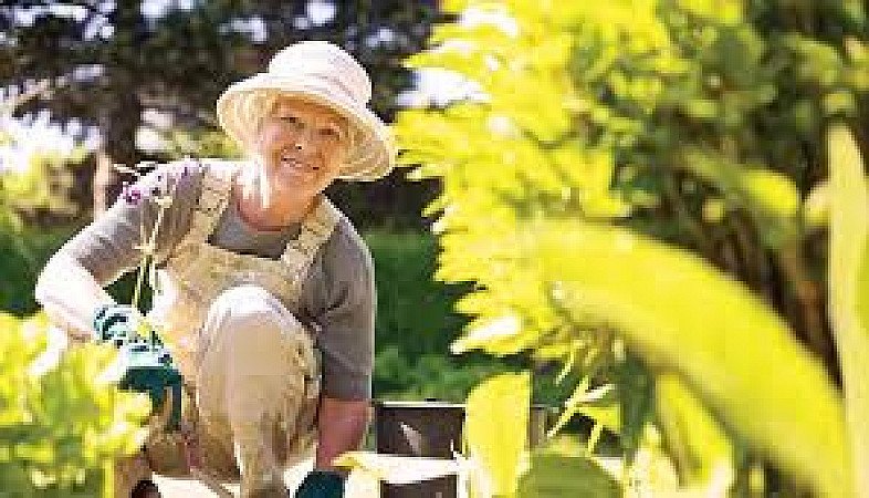 Lansia menikmati kegiatan berkebun di taman